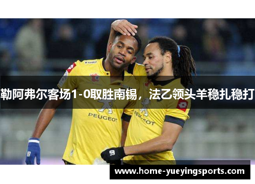 勒阿弗尔客场1-0取胜南锡，法乙领头羊稳扎稳打