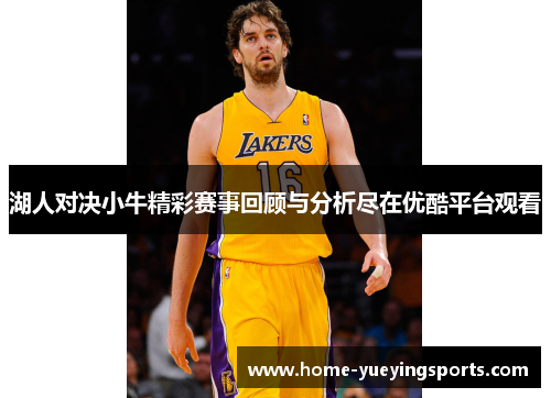 湖人对决小牛精彩赛事回顾与分析尽在优酷平台观看