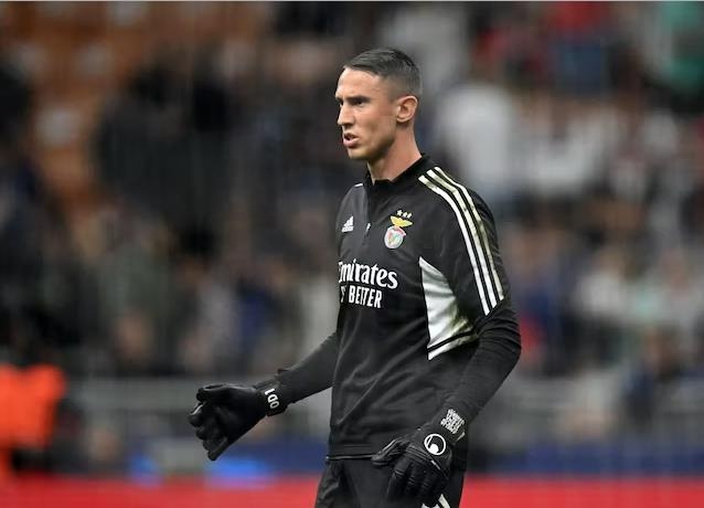 冲刺阶段里尔再遭质疑——葡超节点到来瓦伦西亚绝杀压哨，媒体一致点评：新奥尔良鹈鹕赛后遗憾出局的简单介绍